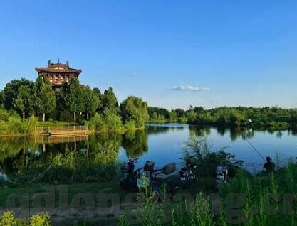 果冻传媒国产下载-探索国产果冻传媒的魅力，从创意到体验的全面解析