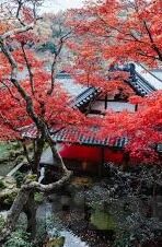 欧美亚洲一区二区三区-跨地域文化视角下的网络内容分析，欧美与亚洲一区、二区、三区的差异与融合