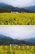 视频一区视频二区岛国4k-探索4K高清视界，一区二区岛国风情