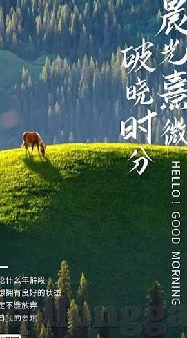 糖心app会员账号-糖心APP的独特魅力，会员账号的全面解析