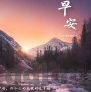 糖心官网激活码-了解糖心官网激活码的奥秘，从入门到获取的正确途径