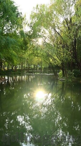 亚洲AV日韩AV无码A-探索亚洲与日韩AV文化，无码A视角下的艺术与文化交流