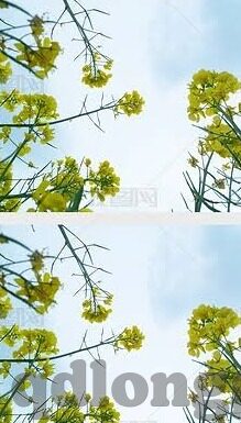 伊人久久大香线蕉av一区二区-探索网络世界的多元文化与信息边界