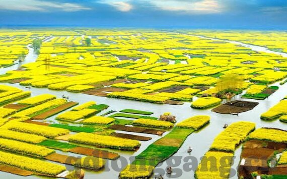 中文字幕JULIA人妻-探索JULIA人妻角色中的中文字幕魅力
